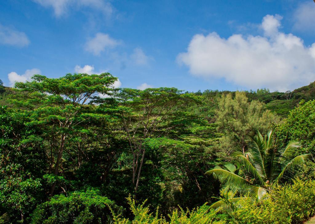 Anse Royale Panorama View Exterior foto